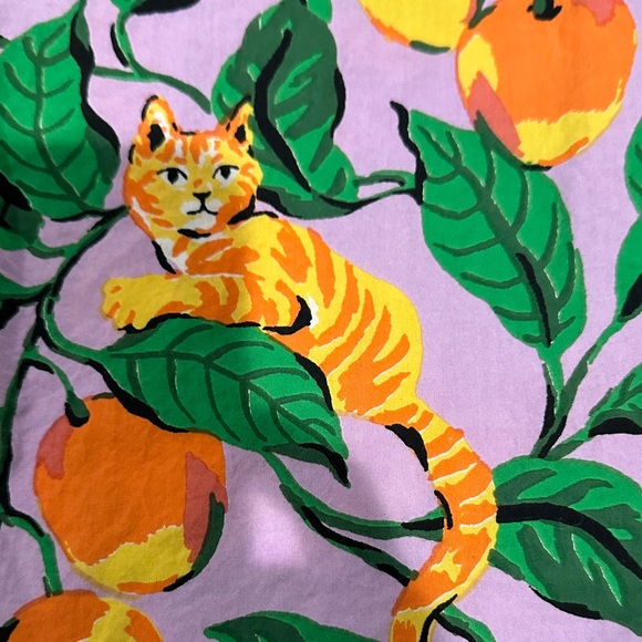 Printfresh Orange Cat Print Plus Size Nightshirt - Picture 3 of 6